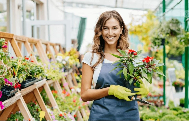 Proyecto 6